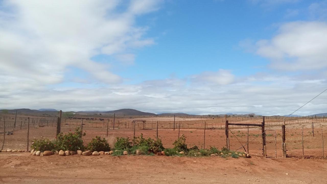 Pureplaas Self Catering Volmoed Oudtshoorn Klein Karoo公寓 外观 照片