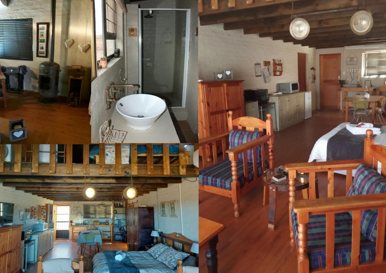 Pureplaas Self Catering Volmoed Oudtshoorn Klein Karoo公寓 外观 照片