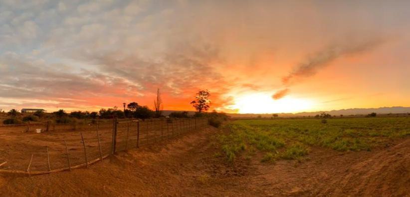 Pureplaas Self Catering Volmoed Oudtshoorn Klein Karoo公寓 外观 照片