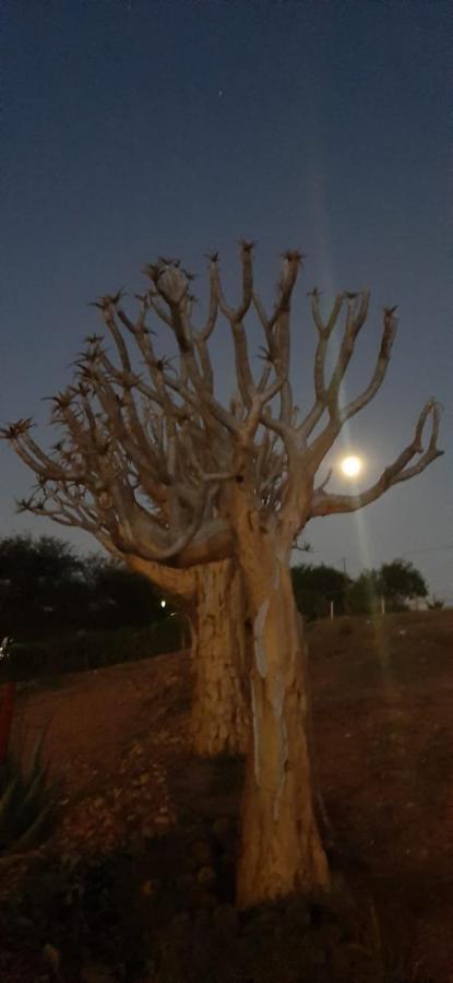 Pureplaas Self Catering Volmoed Oudtshoorn Klein Karoo公寓 外观 照片