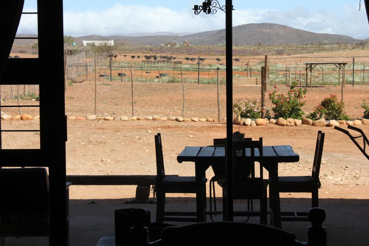 Pureplaas Self Catering Volmoed Oudtshoorn Klein Karoo公寓 外观 照片